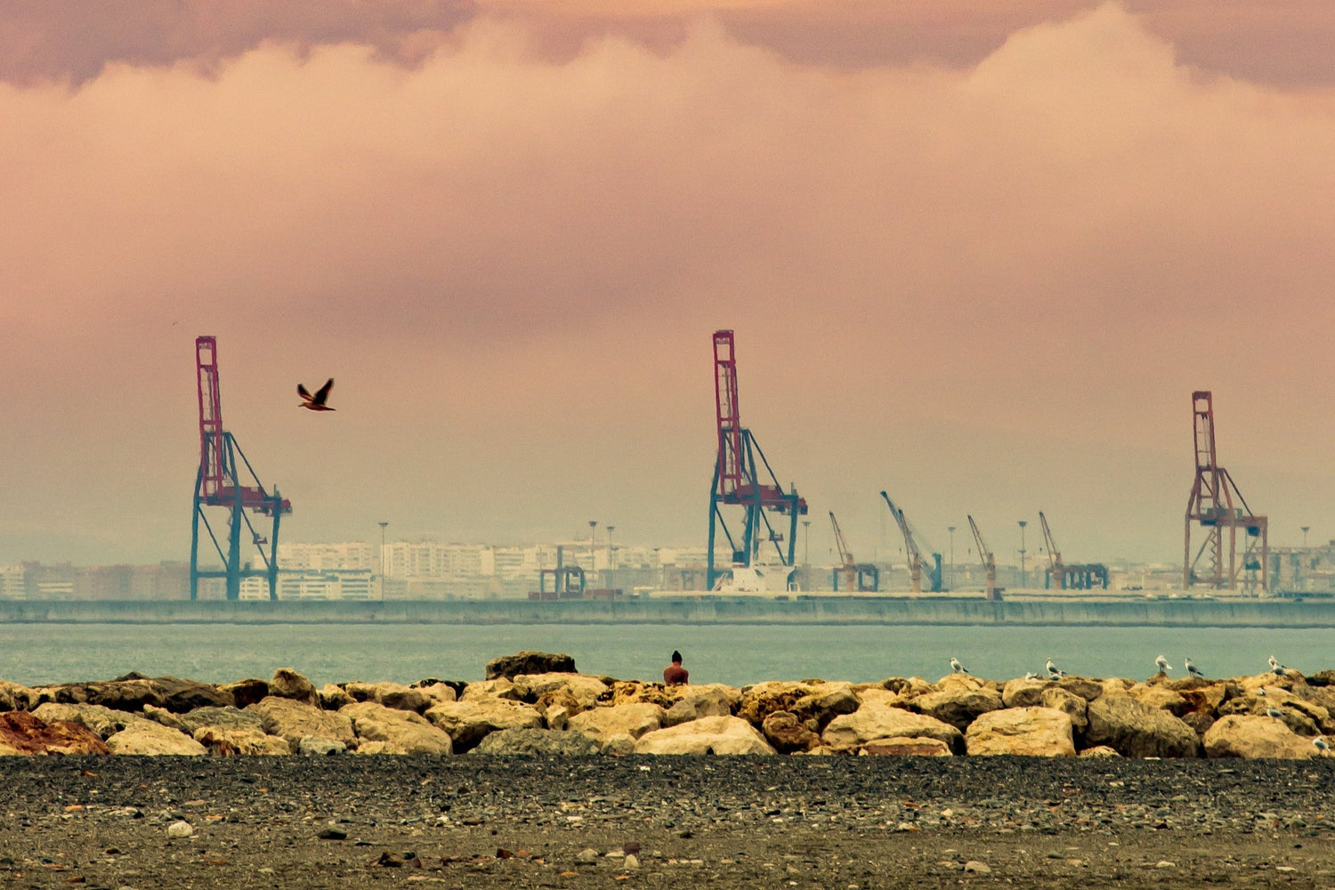 Le mouchoir en papier une industrie extrêmement énergivore